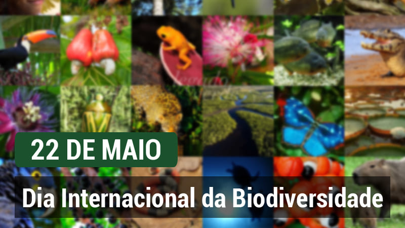 DIA INTERNACIONAL DA BIODIVERSIDADE