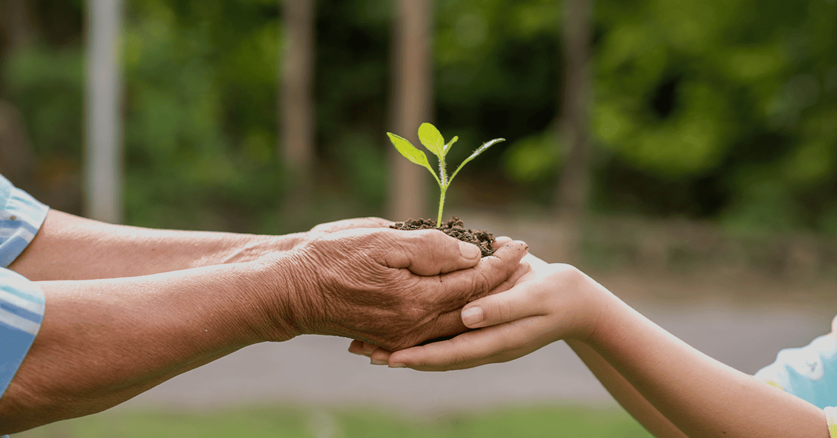 Nome da Atividade Desenvolvida