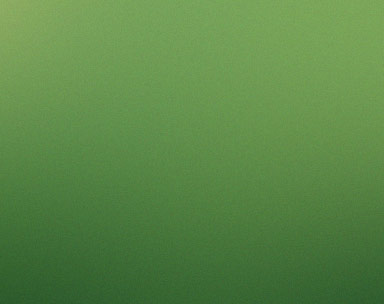 APOIO A AÇÕES DE FISCALIZAÇÃO AMBIENTAL