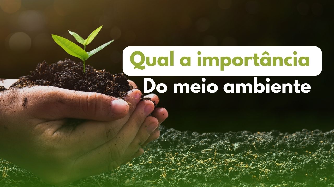 AMPASA participa de ações de preservação ambiental