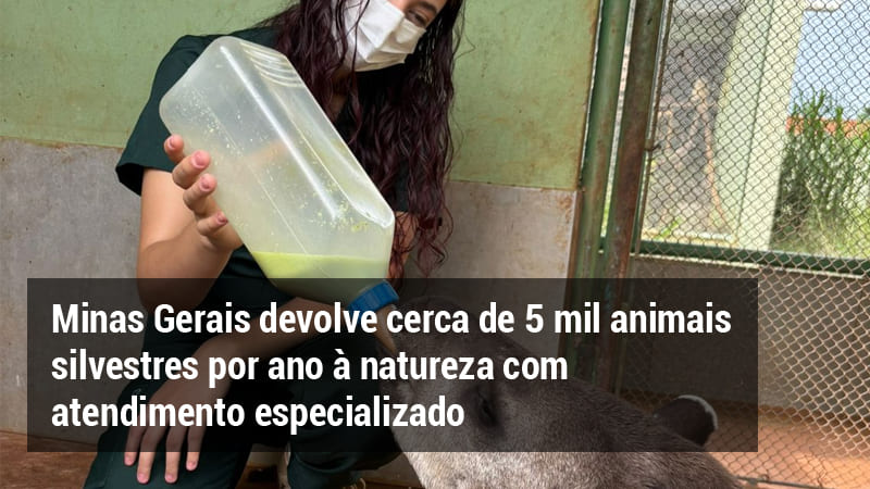 MG DEVOLVE CERCA DE 5 MIL ANIMAIS SILVESTRES POR ANO À NATUREZA COM ATENDIMENTO ESPECIALIZADO